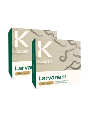 KOPPERT - Kit 2 confezioni di Larvanem 50 milioni di nematodi