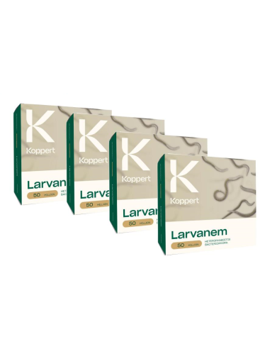 KOPPERT - Kit 4 confezioni di Larvanem 50 milioni di nematodi