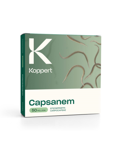 KOPPERT - Capsanem 50 milioni di nematodi