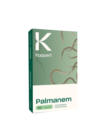 KOPPERT - Palmanem 50 milioni di nematodi