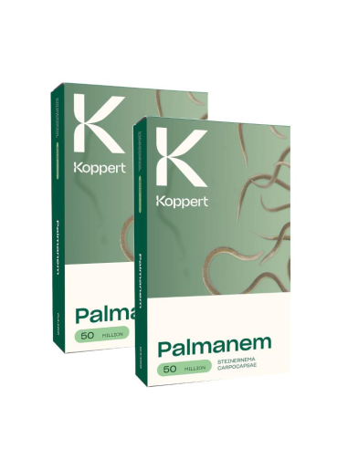 KOPPERT - Kit 2 confezioni Palmanem 50 milioni di nematodi