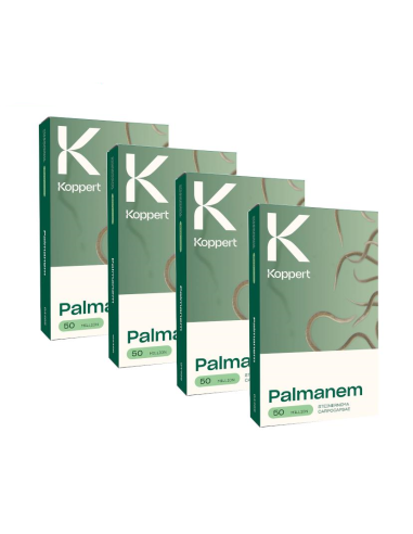 KOPPERT - Kit 4 confezioni Palmanem 50 milioni di nematodi