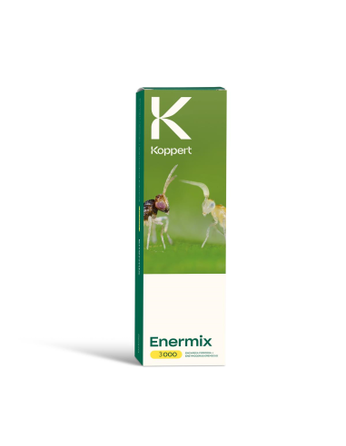 KOPPERT - Enermix 3000 pupe - Parassidoide per Mosca Bianca