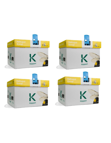 KOPPERT - Kit 4 confezioni Natupol Excel Arnia di bombi