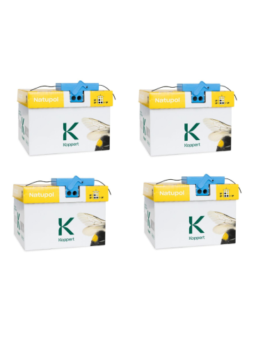 KOPPERT - Kit 4 confezioni Natupol Standard Arnia di bombi