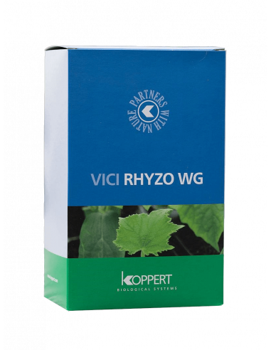 KOPPERT - Vici Rhyzoteam WG 500 g Funghi micorrizici